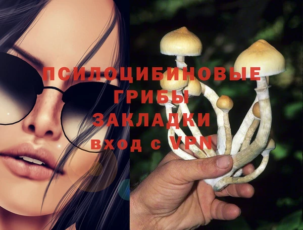 мдпв Коряжма