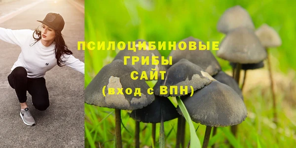 дмт Магас