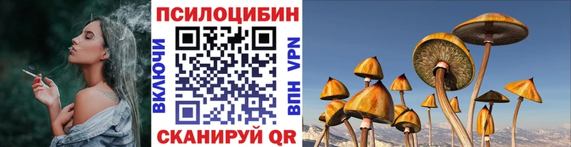 Галлюциногенные грибы Magic Shrooms Николаевск