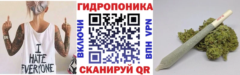 Бошки Шишки индика купить наркотик Николаевск